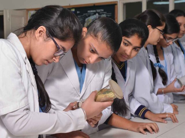 DSC_0114